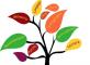 Les missions de notre orthophoniste La Provence Allauch